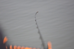 B96A0520